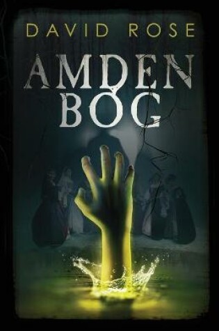 Cover of Amden Bog