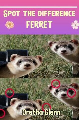 Cover of Spot the difference Ferret
