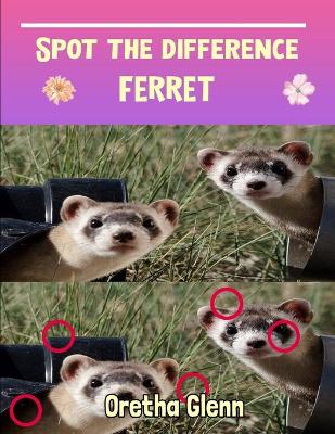 Book cover for Spot the difference Ferret