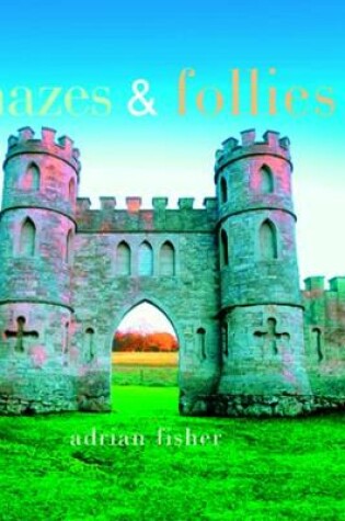 Cover of Mazes and Follies