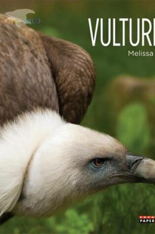 Cover of Vultures