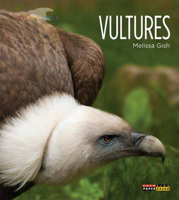 Cover of Vultures