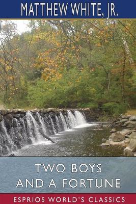 Book cover for Two Boys and a Fortune (Esprios Classics)