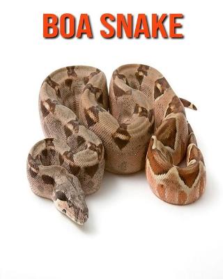 Book cover for Boa Snake