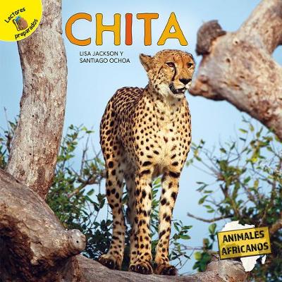 Book cover for Chita