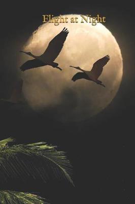 Book cover for Flight at Night