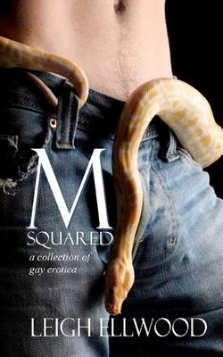 Book cover for M-Squared