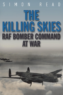 Book cover for The Killing Skies