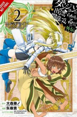 Cover of Is It Wrong to Try to Pick Up Girls in a Dungeon? Sword Oratoria, Vol. 2
