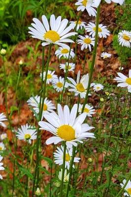 Cover of Daisy Field Summer Journal