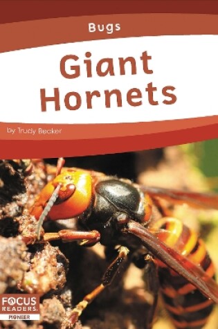 Cover of Bugs: Giant Hornets
