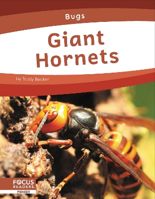 Cover of Bugs: Giant Hornets