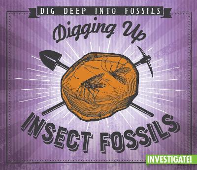 Book cover for Digging Up Insect Fossils