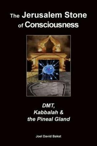 Cover of The Jerusalem Stone of Consciousness