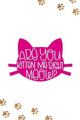 Book cover for Are You Kitten Me Right Meow?