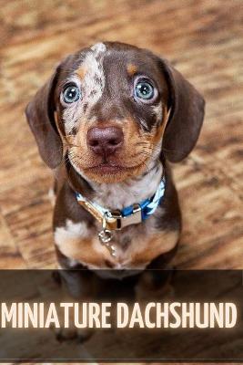 Book cover for Miniature Dachshund