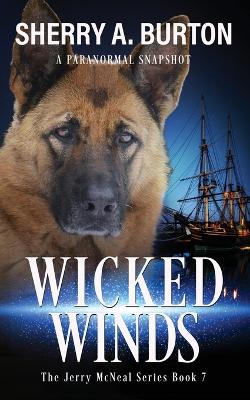 Book cover for Wicked Winds