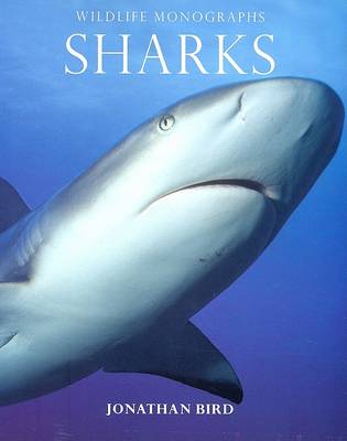 Cover of Sharks