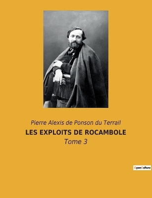 Book cover for Les Exploits de Rocambole