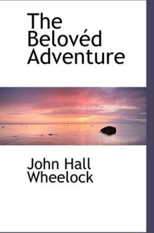 Cover of The Belov D Adventure