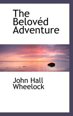 Book cover for The Belov D Adventure