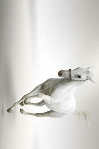 Cover of White Horse Galloping with Silver Background