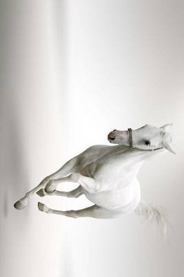 Book cover for White Horse Galloping with Silver Background