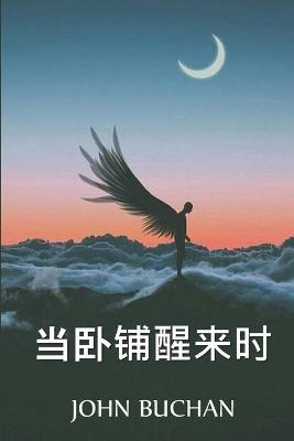Book cover for 当卧铺醒来时