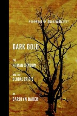 Cover of Dark Gold