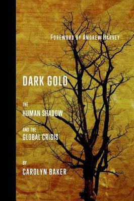 Book cover for Dark Gold
