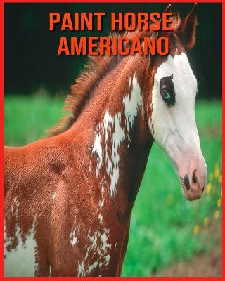 Book cover for Paint Horse Americano