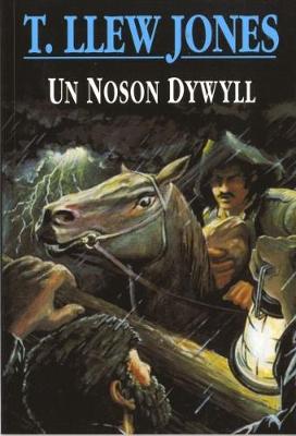 Book cover for Un Noson Dywyll