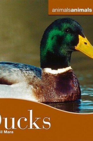 Cover of Ducks