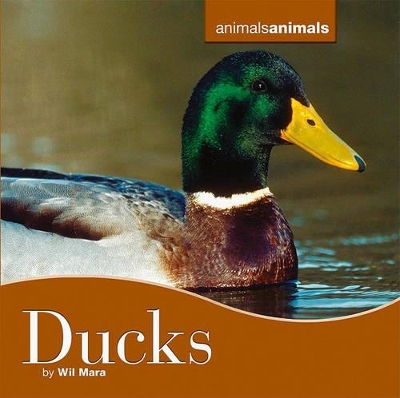 Cover of Ducks