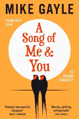 Cover of A Song of Me and You