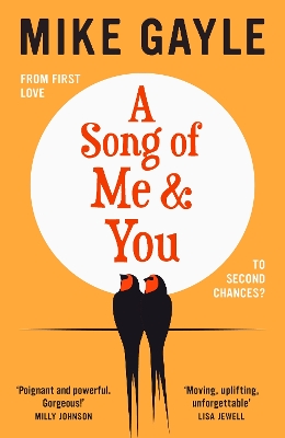 Book cover for A Song of Me and You
