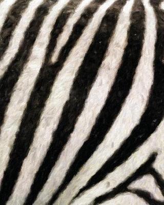 Book cover for Zebra Texture Painted Notebook