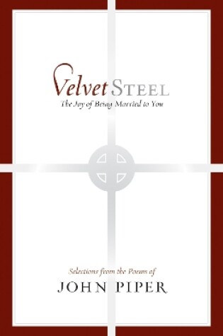 Cover of Velvet Steel