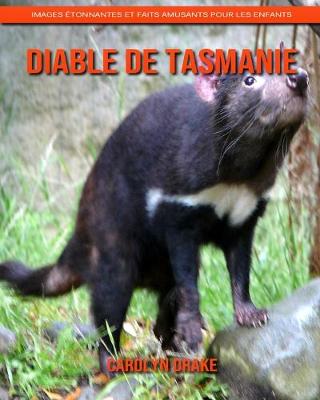 Book cover for Diable de Tasmanie