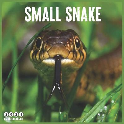Book cover for Small Snake 2021 Calendar