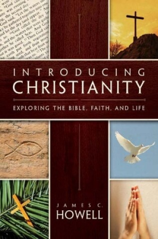 Cover of Introducing Christianity