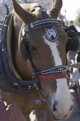 Cover of Equine Journal Carriage Horse