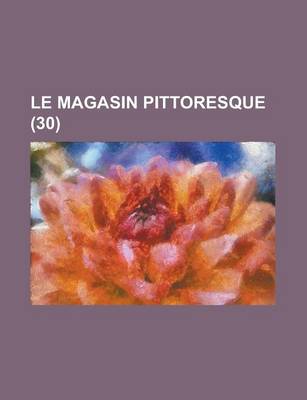 Book cover for Le Magasin Pittoresque (30 )