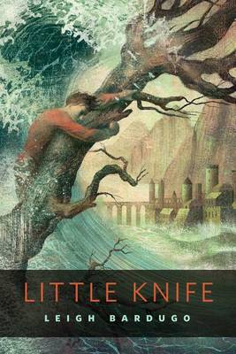 Book cover for Little Knife