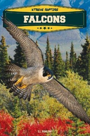 Cover of Falcons