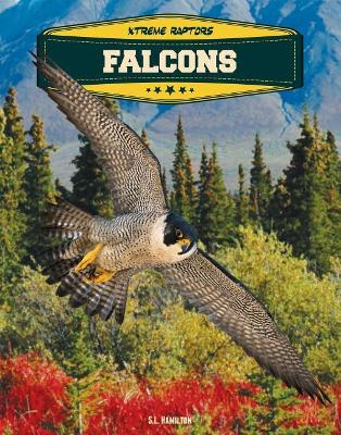 Cover of Falcons