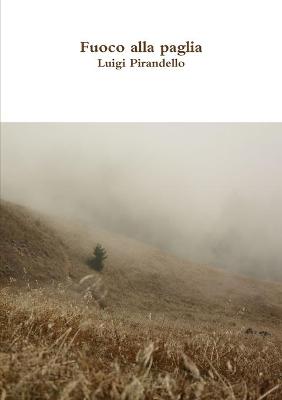 Book cover for Fuoco alla paglia