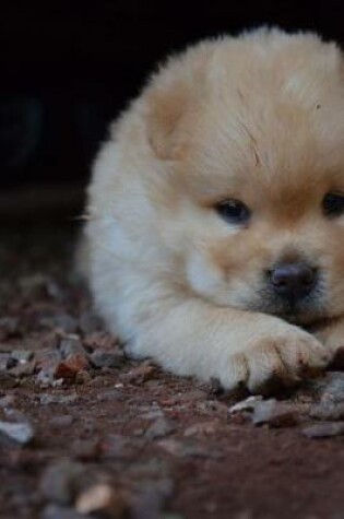 Cover of Fluffy Chow Chow Puppy Dog Journal