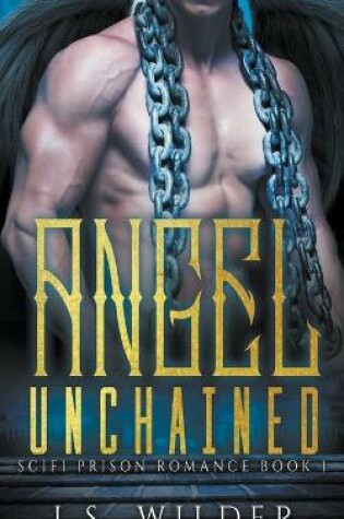 Cover of Angel Unchained