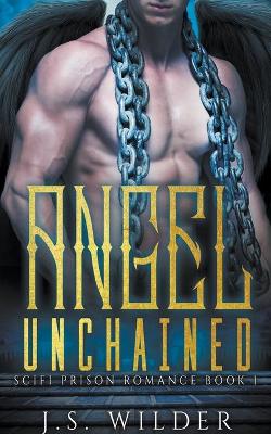 Book cover for Angel Unchained